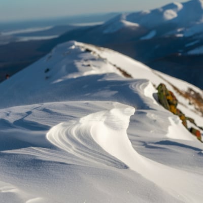 How Snow Transforms the Landscape