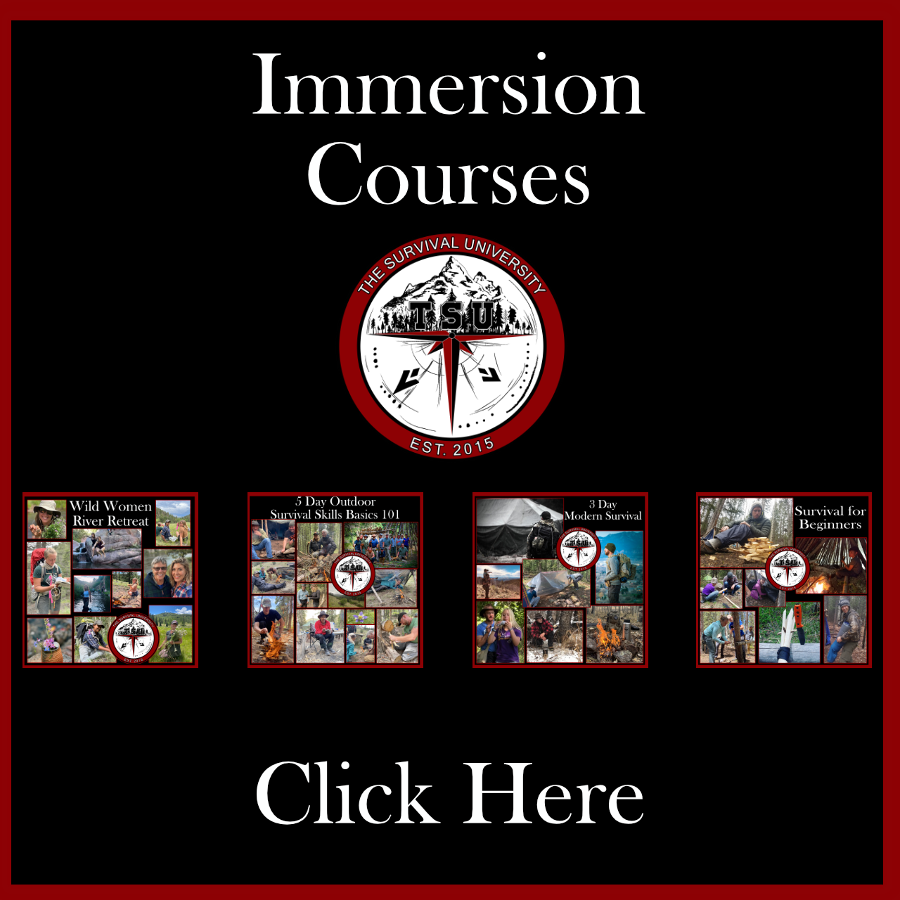 Immersion Courses