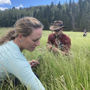 Students forage for survival food in meadow