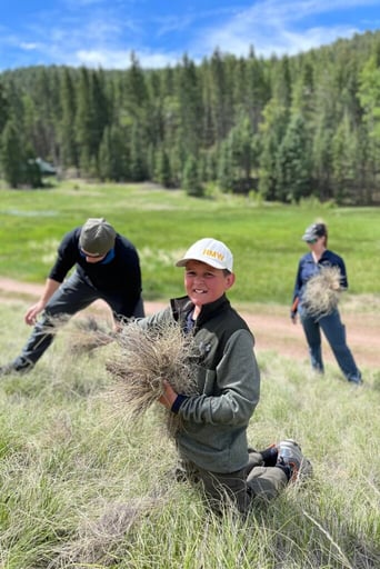 harvesting dried grass for fire tinder