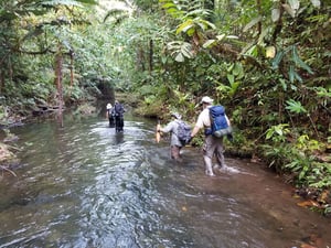 costa-rica-adventure-jungleJungle-1