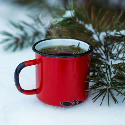 Pine needle tea