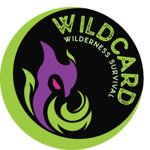 WILDCARD-500x500-1
