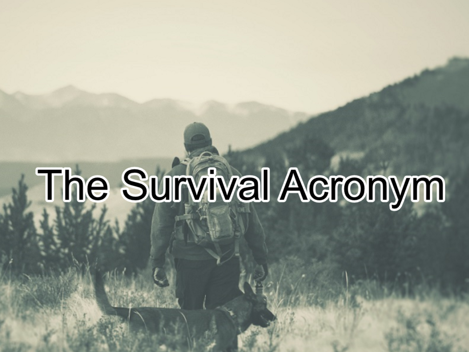 THE SURVIVAL ACRONYM