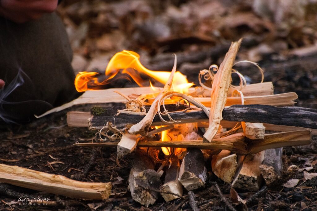 Small flames rise through stacked kindling and curled wood shavings on the forest floor.