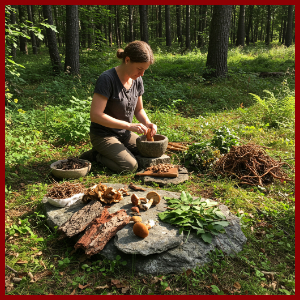 Ethnobotany