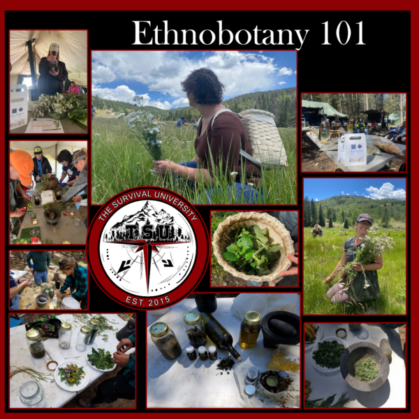 Collage for the "Ethnobotany 101" course featuring people harvesting and processing wild plants, making tinctures and salves, examining herbs, and participating in hands-on plant identification and preparation activities. Includes The Survival University logo in the center.
