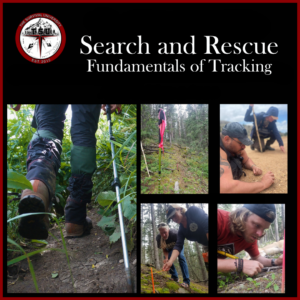 Instructor Jimmy Dunn teaching tracking skills during a Search and Rescue – Fundamentals of Tracking course. The collage includes images of students examining signs on the ground, marking tracks, and using tracking sticks in a wooded and sandy environment.