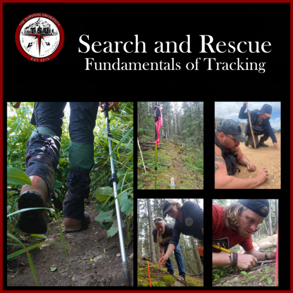 Instructor Jimmy Dunn teaching tracking skills during a Search and Rescue – Fundamentals of Tracking course. The collage includes images of students examining signs on the ground, marking tracks, and using tracking sticks in a wooded and sandy environment.