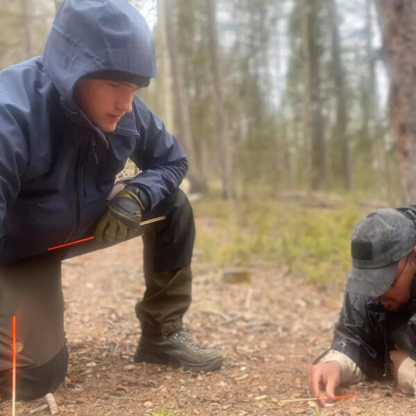 Two individuals in rain gear carefully study the ground using tracking sticks during a search and rescue fundamentals course in a pine forest.