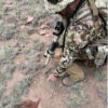 Search and Rescue: High-Risk Tactical Tracking - Image 2