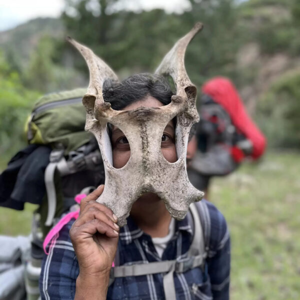 A hiker in a plaid shirt playfully holds up a large animal skull in front of their face like a mask, with a loaded backpack and lush forested mountains in the background.