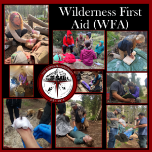 A collage of hands-on wilderness medical training images showing participants practicing CPR, wound care, patient assessment, and emergency evacuation techniques in a forest setting, part of The Survival University’s Wilderness First Aid (WFA) course.