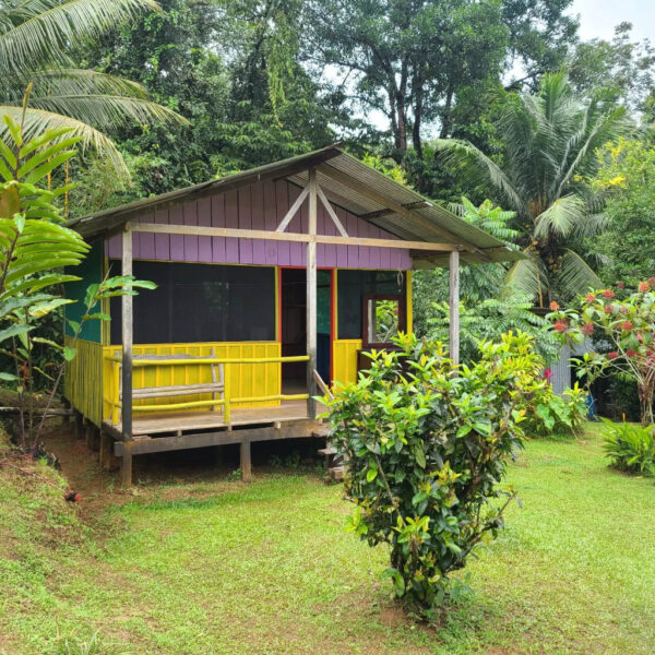 Colorful jungle cabin surrounded by lush tropical plants and palm trees, featuring yellow railings and a purple trim under a metal roof.