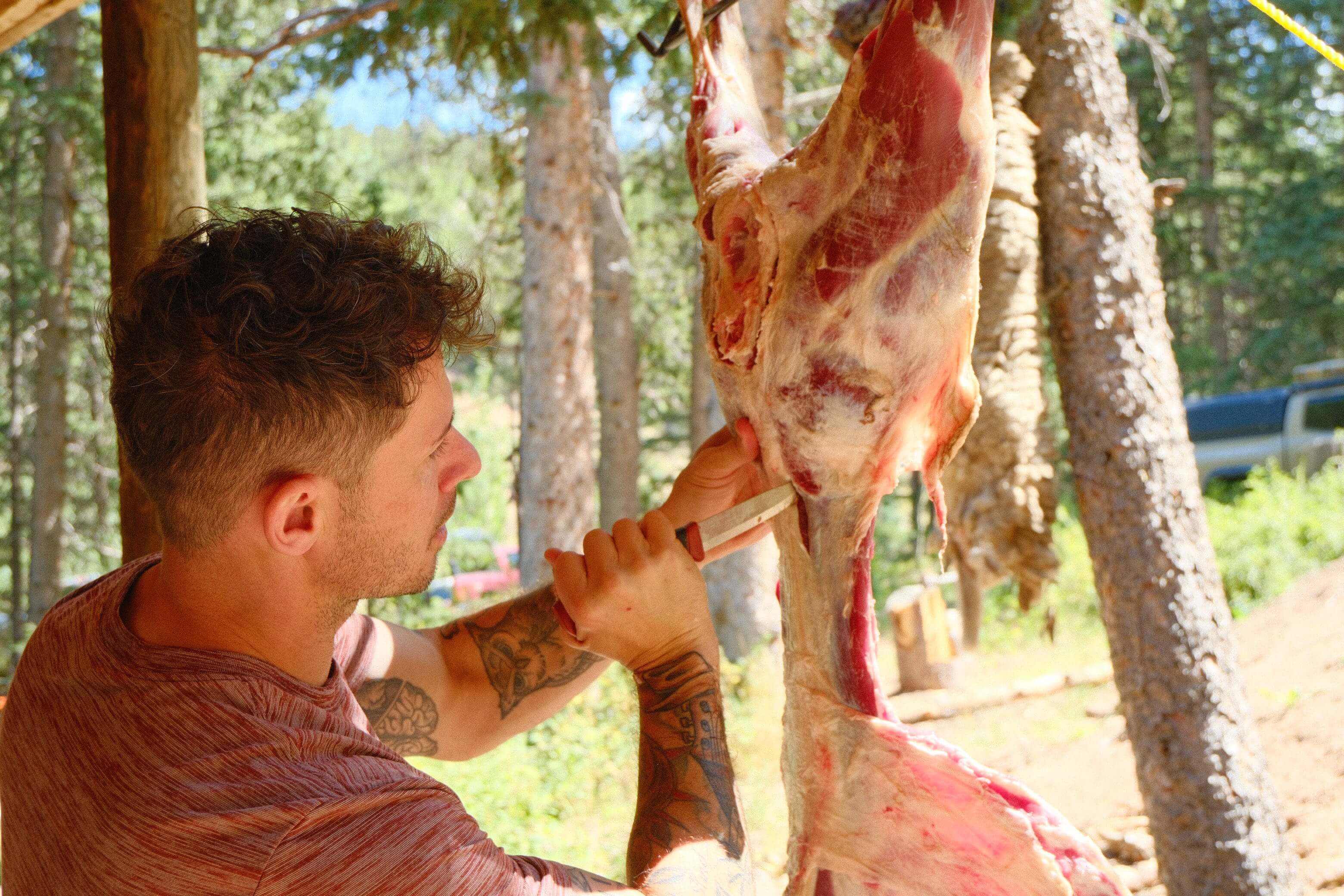 Student removing the backstrap from a hanging animal during Field to Feast wild game processing course