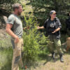 Jacks and Jason standing beside a wild plant during an ethnobotany course. They are engaged in conversation, smiling, and sharing knowledge under the shade of pine trees. Jacks wears a black hoodie and cap, while Jason wears a gray shirt and utility pants with a quiver over his shoulder.