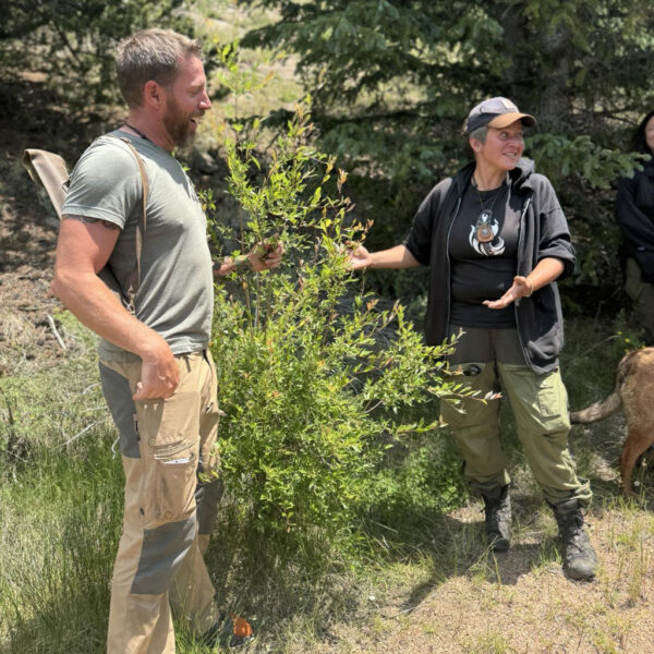 Jacks and Jason standing beside a wild plant during an ethnobotany course. They are engaged in conversation, smiling, and sharing knowledge under the shade of pine trees. Jacks wears a black hoodie and cap, while Jason wears a gray shirt and utility pants with a quiver over his shoulder.