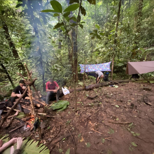Group of people setting up camp in a lush jungle, with two tarps hung as shelters and a fire pit surrounded by logs and large leaves under a primitive tripod structure.