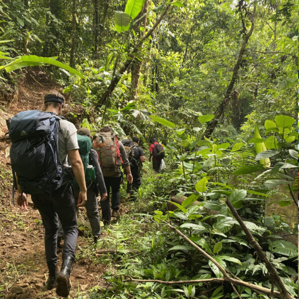 A line of backpackers hiking single file through dense tropical rainforest, surrounded by lush greenery and rugged terrain on a narrow jungle trail.