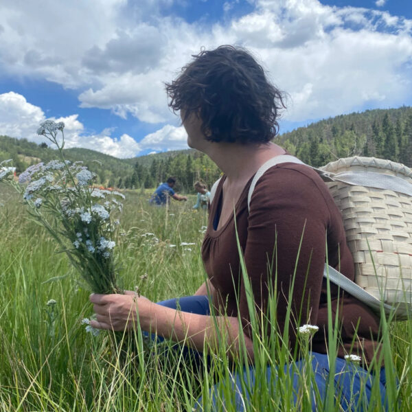 Person kneeling in a lush mountain meadow, holding a bundle of white yarrow flowers with a woven gathering basket on their back. Blue sky with scattered clouds and pine forest in the background. Other foragers are visible in the distance.