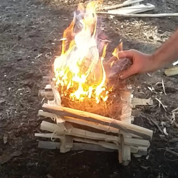 Close-up of a hand igniting a tinder bundle on a structured wood fire lay in a forest setting