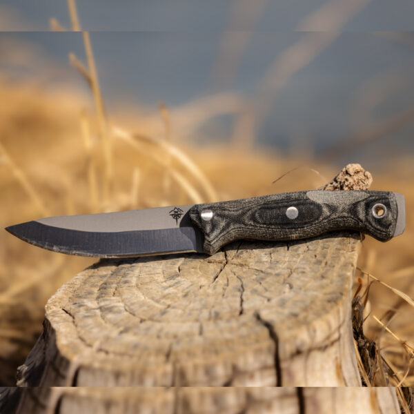 Fixed-blade survival knife with a black textured handle and matte blade resting on a weathered tree stump in a dry, grassy outdoor setting.