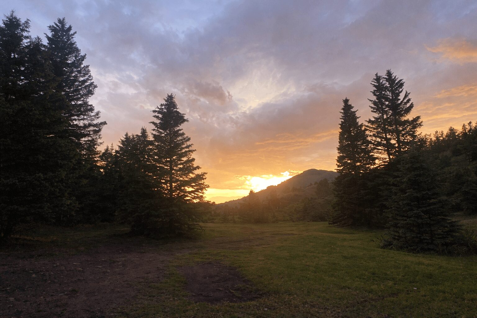 Quiet forest clearing near a Colorado recreation area at sunset, showing a calm landscape where people commonly recreate