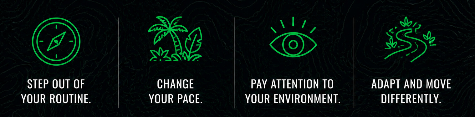 Four-panel jungle-themed banner with green line icons showing a compass, tropical plants, an eye, and a winding path, with text about stepping out of routine, changing pace, paying attention, and adapting movement