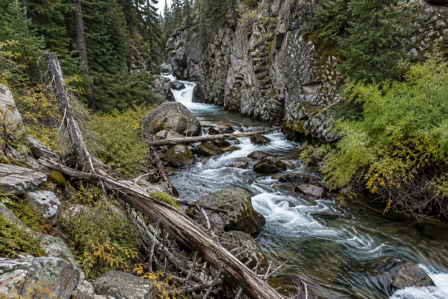 Mountain stream confined by granite walls, boulders, fallen trees and thick brush.